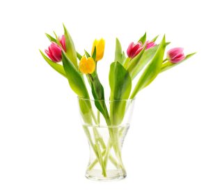 article image - 